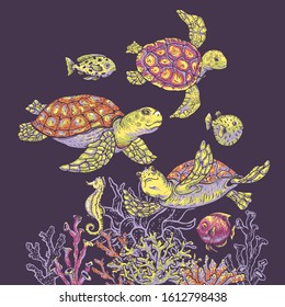 Vintage sea life natural greeting card, underwater vector illustration, fish, sea turtle, shells and seaweed. Nautical hand drawn design objects on black background..