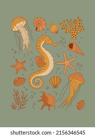 Vintage sea life vector illustration. Underwater animals poster. Seahorse, jellyfish, starfish, sheels, coral,  algae print