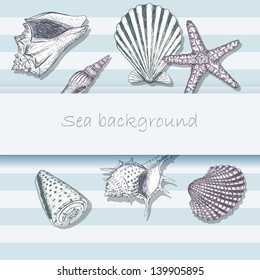 Vintage sea shell background. Beautiful marine card with cockleshell and starfish