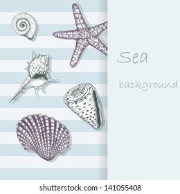 Vintage sea shell background. Beautiful marine card with cockleshell and starfish