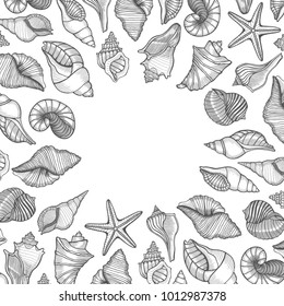 Vintage seafood frame vector illustration. Hand drawn Seashell with ink. Engraved style image