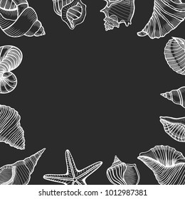 Vintage seafood frame vector illustration. Hand drawn Seashell with ink. Engraved style image