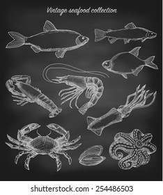 Vintage seafood set on blackboard (chalkboard), hand drawn vector illustration, sketch