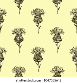 Vintage seamless hand drawn pattern with thistle flowers