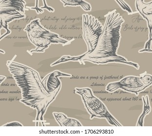 Vintage seamless pattern with birds. Newspaper clippings