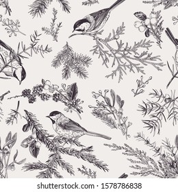 Vintage seamless pattern with birds and winter plants. Winter background. Vector botanical illustration. Black and white.