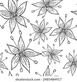 Klassisches nahtloses Muster mit Kakaoblume im handgezeichneten Skizzenstil
