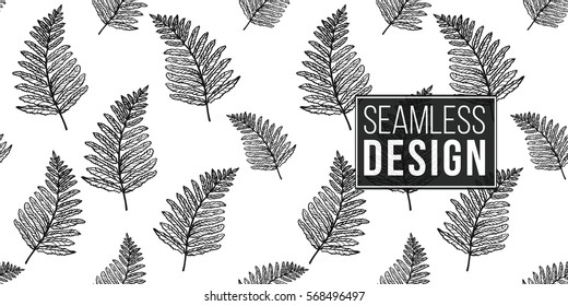 Vintage seamless pattern with fern leaf. Background for eco forest wedding or autumn celebrations. Black floral rustic symbols and elements on white hand drawing style.