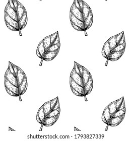 Vintage seamless pattern with hand drawn falling leaves. Vector illustration in sketch style