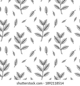 Vintage seamless pattern with hand drawn leaves and branches. Vector illustration in sketch style. 