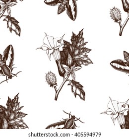 Vintage seamless pattern with Ink hand drawn  sphinx butterflies illustration and Thorn-apple flower sketch. Vector background with highly detailed moth and poisonous plant sketch 