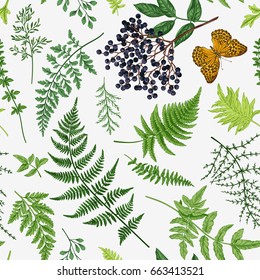 Vintage seamless pattern with leaves of ferns, elderberry and butterfly. Vector botanical illustration.