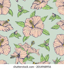 Vintage seamless pattern with line art pink hibiscus flowers, buds and leaves, with dark outline. On turquoise background. Stock vector illustration.