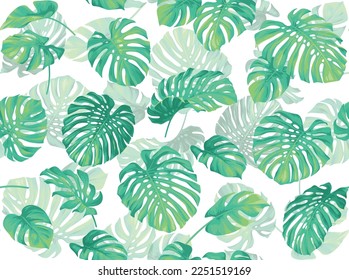 Vintage seamless pattern with monstera plants. Foliage background. Leaves in realistic style. Vector botanical illustration. Hawaiian summer design.