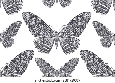 Vintage Seamless pattern. Night butterfly on a white background. Vector black and white illustration of insects. Nature background.