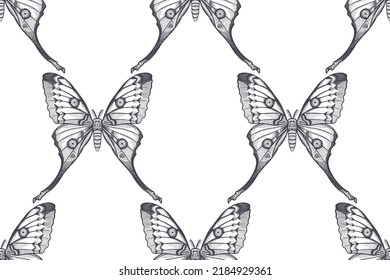 Vintage Seamless pattern. Night butterfly on a white background. Vector black and white illustration of insects. Nature background.