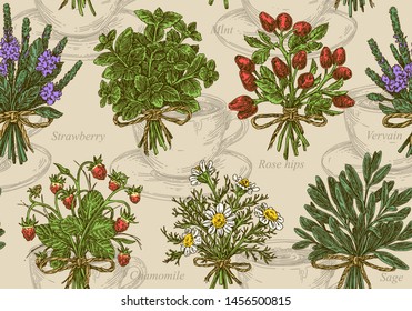 Vintage seamless pattern.  Plants for herbal tea. Rose hips, chamomile, vervain, sage, mint and wild strawberry. Engraving style. Vector illustration.