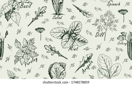 Vintage seamless pattern with popular cooking herbs, Isolated. Hand drawn sketch illustrations. Flyer, booklet advertising and design background. Line art style vector.