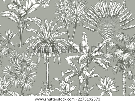 Vintage seamless pattern with tropical palms. Plants in linear style. Vector botanical illustration. Foliage design for wallpaper, textile and wrapping paper.