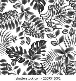vintage seamless pattern with tropical plants leaves and plants foliage on white background. monochromatic nature background. tropical wallpaper pattern. Floral background. Exotic tropics. spring