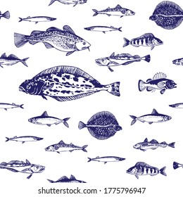 Vintage seamless vector pattern with hand drawn fishes. Isolated elements on white background. Realistic details of sea species.