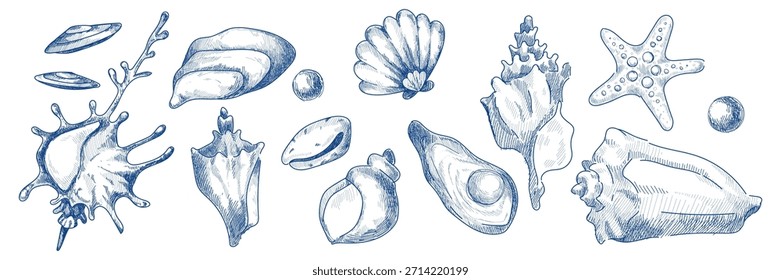 Conjunto de bocetos de conchas marinas de Antiguas con iconos del océano dibujados a mano. Colección de concha marina con estrellas de mar, vieira y caracola en estilo de arte de línea retro. Ilustración náutica azul para diseños de playa y marca.