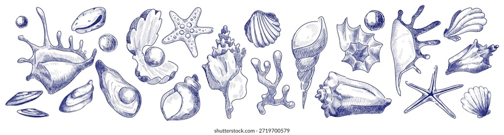 Croqui de concha vintage definido com ícones do oceano desenhados à mão. Coleção de conchas marinhas com estrela-do-mar, vieira e concha em estilo retro de arte de linha. Ilustração azul náutica para projetos de praia e branding.