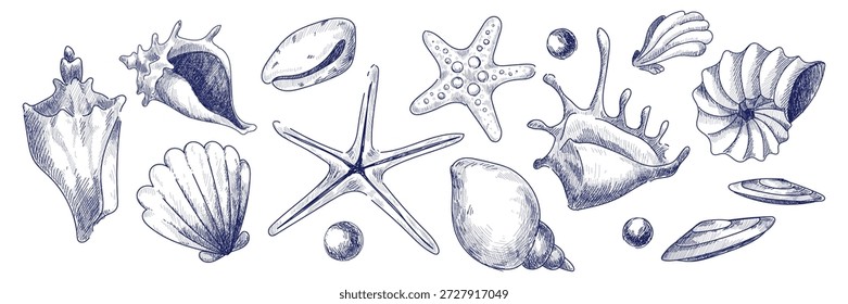 Conjunto de bocetos de conchas marinas de Antiguas con iconos del océano dibujados a mano. Colección de concha marina con estrellas de mar, vieira y caracola en estilo de arte de línea retro. Ilustración náutica azul para diseños de playa y marca.