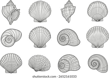 Vintage Seashells Engraving Set. Hand-drawn vector collection of conch, scallop, and spiral shells in a line art style, isolated for nautical design.