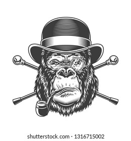 Vintage serious gorilla head smoking pipe in fedora hat with rimless eyeglass and crossed canes isolated vector illustration