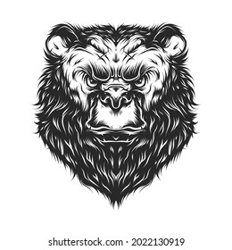 Vintage serious man, bear head in monochrome style isolated vector illustration