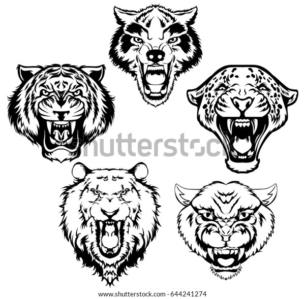動物の頭のビンテージセット 虎 獅子 ヒョウ オオカミ ヒョウの頭のベクターイラスト のベクター画像素材 ロイヤリティフリー