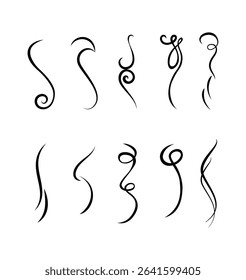 Vintage Set of calligraphic swashes swirling lines and flourishes