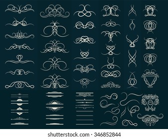 Vintage set decor elements. Decoration for logo, wedding album or restaurant menu. Elegance old hand drawing set. Ornate swirl leaves, label, curved lines and decor elements in vector.