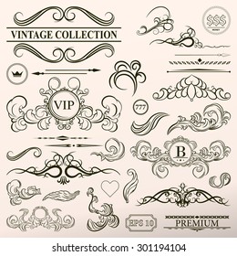 Vintage set decor elements. Elegance old hand drawing set. Outline ornate swirl leaves, label, acanthus, decor elements in vector. Big collection  borders for book, photo album or restaurant menu.