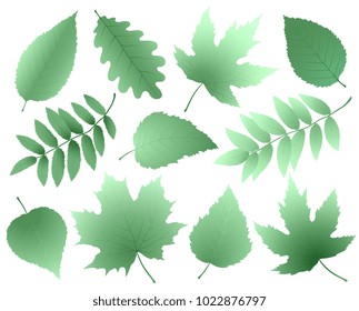 vintage set of decorative leaves and branches silhouettes