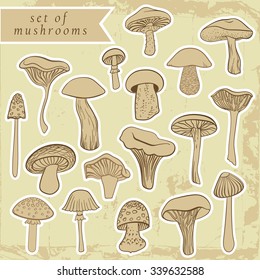 Vintage set of different hand drawn mushrooms in pastel tones