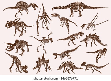 Vintage Set Of  Dinosaur Skeletons, Graphical Vector Illustration