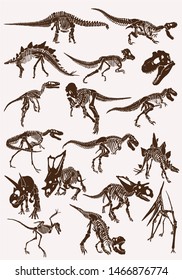 Vintage set of  dinosaur skeletons ,graphical vector illustration