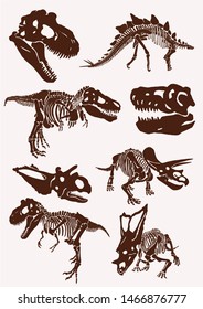 Vintage set of  dinosaur skeletons ,graphical vector illustration