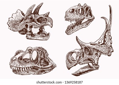 Vintage set of dinosaur skulls,graphical vector illustration