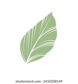 vintage set of hand drawn tree branches with leaves and flowers on white background