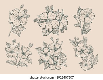 123,958 Hibiscus Stock Vectors, Images & Vector Art | Shutterstock