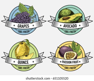 Vintage set of labels, emblems or logo for vegeterian food, fruits hand drawn or engraved. Retro farm american style