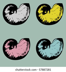 Vintage set of multicolored nautilus shells