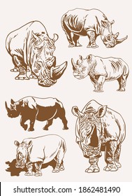 Vintage set of rhinoceroses , sepia background, vector	
