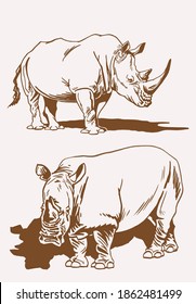 Vintage set of rhinoceroses , sepia background, vector	
