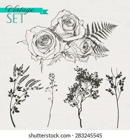 Vintage set of roses, branches and grass