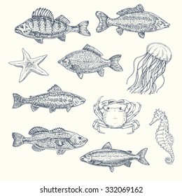 Vintage set of sea creatures: fish, starfish, seahorse, jellyfish, crab. hand drawn illustration, sketch...