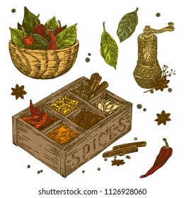 Vintage set of spices. Mill, box and dish. Color. Engraving style. Vector illustration.